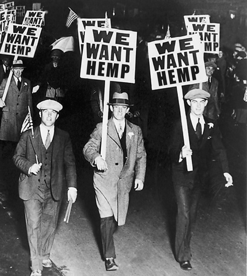 men holding we want hemp signs