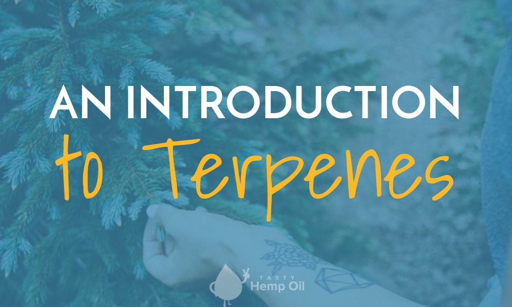 an introduction to terpenes