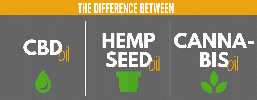 Difference CBD oil, hemp seed oil, and cannabis oil.