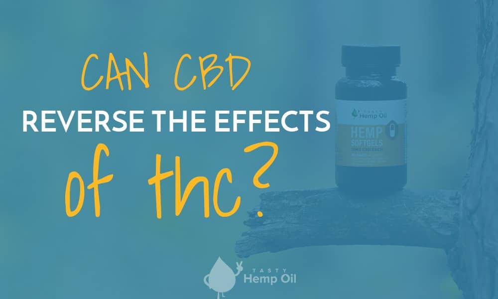 Can CBD Reverse The Effects Of THC