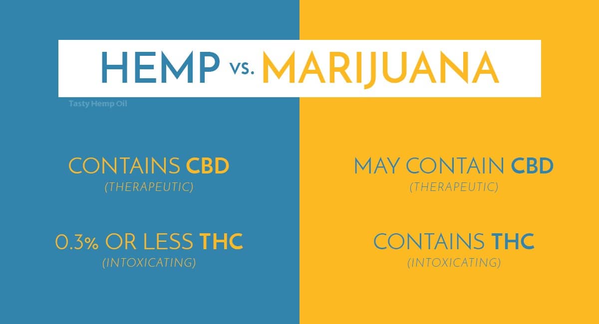 difference hemp marijuana