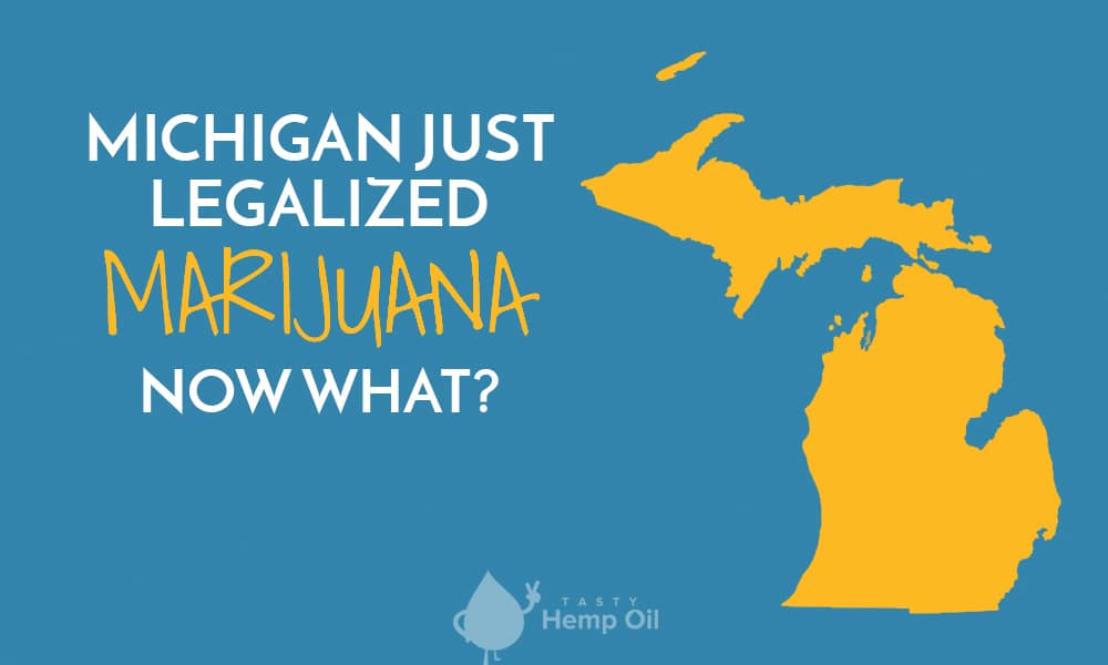 Michigan legalized marijuana now what